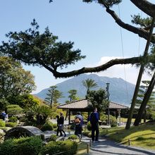 木の枝の隙間から
