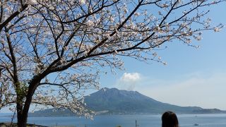 煙を上げる桜島