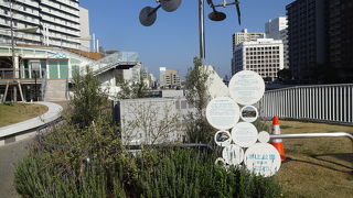 町に潤いを与えている公園。