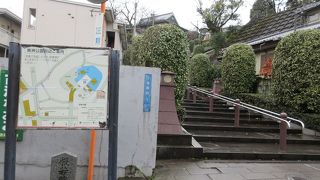 南洲墓地が最も見ごたえがありました。