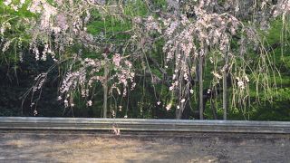 京都を代表する風景