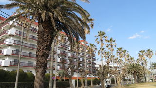 リゾート感あふれる雰囲気は健在