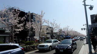 桜のシーズンがおススメ