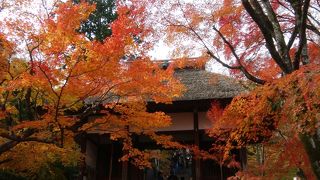 茅葺き屋根の仁王門