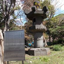 大きさがわかりますか。