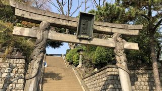 予想より立派な神社でした。