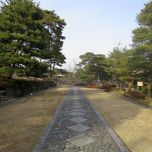 公園に入ると石畳と松並木…和風ですね