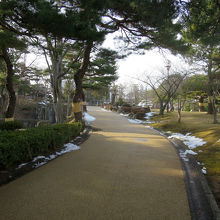 底から少し下った所には…