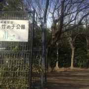 竹林の公園