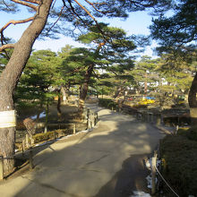 この奥の弁天池周辺は黄色い工事車両が活躍中