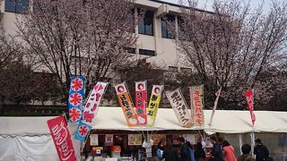 仙台の桜の名所