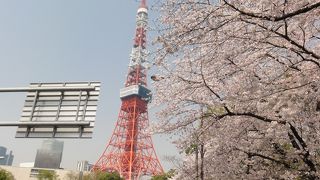 絶好の写真スポット