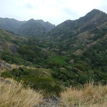 固有種だらけの山が見えます。