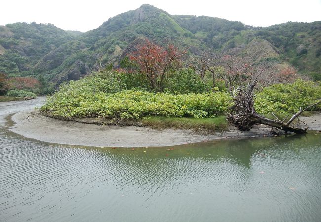 穏やかな川です。