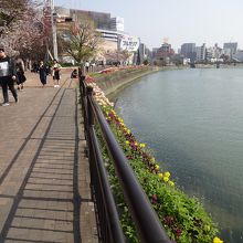 中洲の水上公園から眺める。