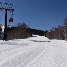 広くて長いコースをゴンドラやフード付リフトで滑れます