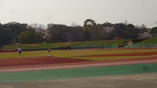 福岡マラソンでよく知られていますね。