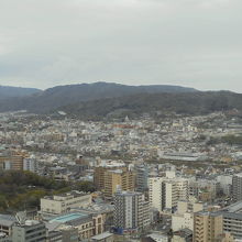 展望台から