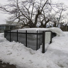 かつては上杉謙信公が埋葬されていた御堂があったようです