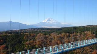 三島スカイウォーク