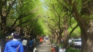 散策が気持ちよい