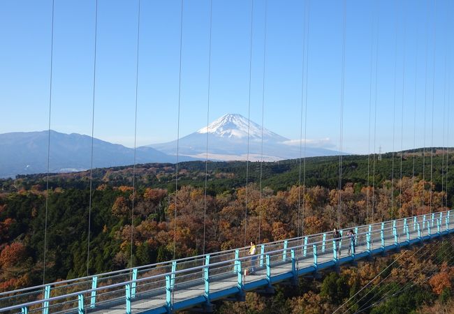 三島スカイウォーク