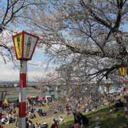 露店の数はすごかったです