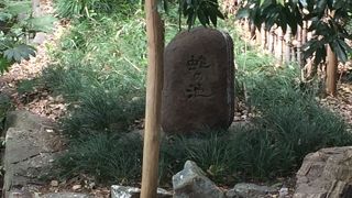 由緒正しい神社ですが、パワースポットもあります。