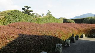 巍々とした山塊を見るかのようなお庭でした。