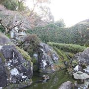 蘇州などの江南式庭園を小さいながらも再現した箱庭ように見えました。