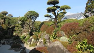 石と植木で構築した山水画のようなお庭が広がっていました。