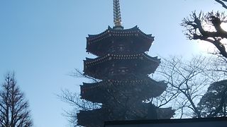 八角もあると…