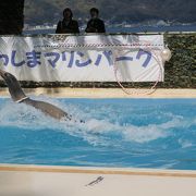 島全体がユニークな水族館