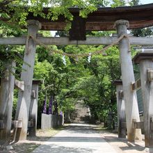 神社でお参りして下山