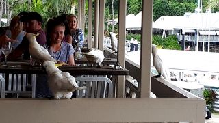 マリーナ タバーン