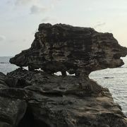 イノシシの様な形の奇岩