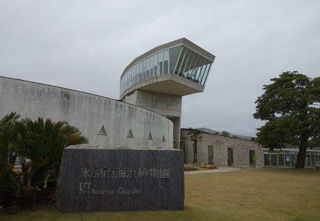 氷見海岸で採取した貝に関する展示の質が高い。