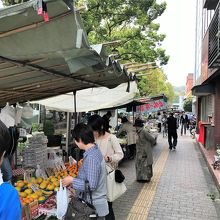 高知の特産品がズラリ！