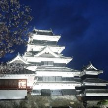 桜はお堀の方が綺麗です。