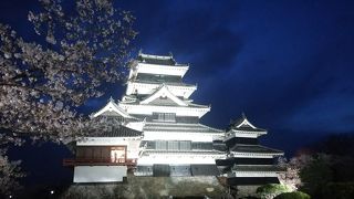 花見に行きました。