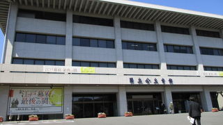 興味を持ったものをじっくり見ることができます