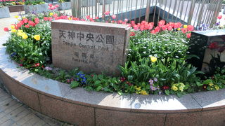 桜が満開、いうことなし