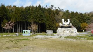 本丸跡までなら割と楽だが、頂上まではさらに登る