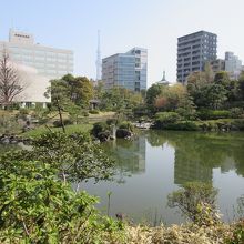 回遊式庭園の旧安田庭園
