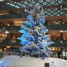 壮観な印象でした。