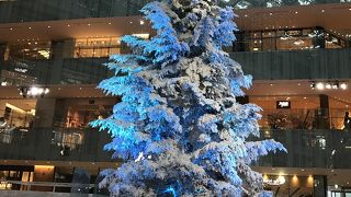 ホワイトキッテ