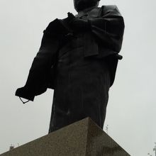 望遠レンズ越しに見てこの距離