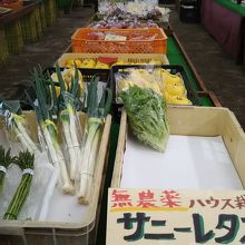 ハウスの中では野菜や苗の販売をしていました。