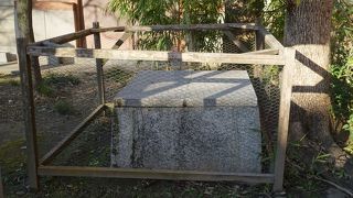 明治の初めまでここにあった藤屋という茶店の井戸