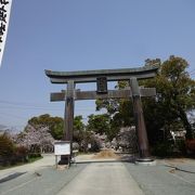 2018年3月29日は桜が満開でした。